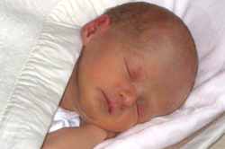 Baby Lea