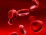 Rote Blutkörperchen